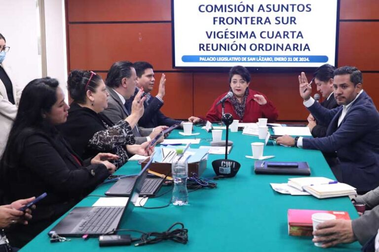 comision-frontera-sur